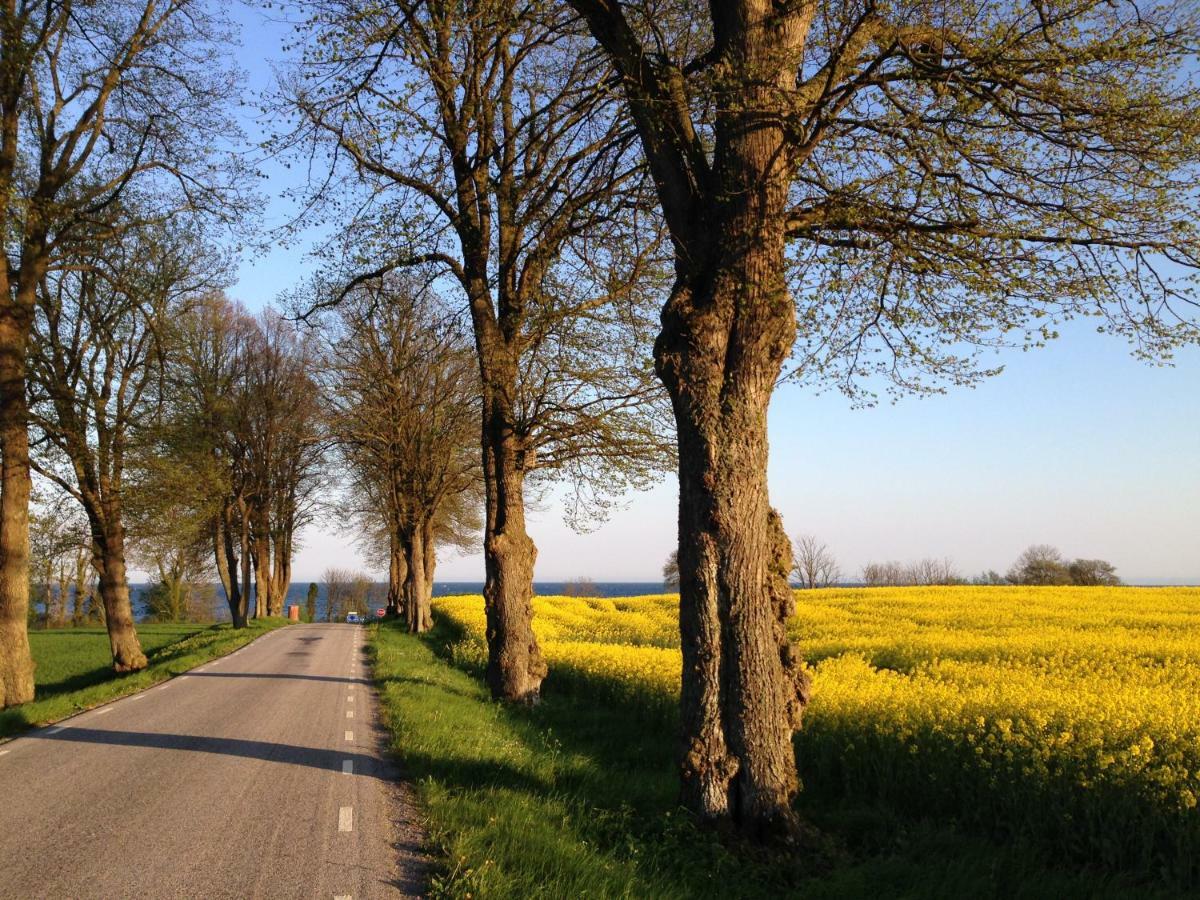 Stallet Pa Skarby Ystad Zewnętrze zdjęcie